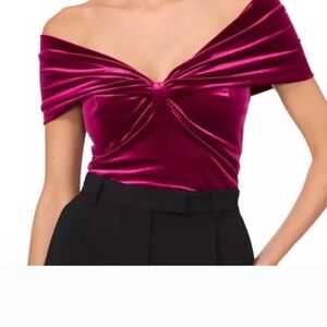 Parker $128 Velvet Off-Shoulder Blouse in Fuchsia, nwot, xl